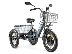 GREEN CITY e-ALFA Trike (серебристый)