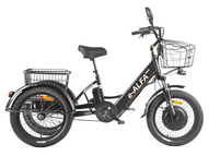 Электровелосипед GREEN CITY e-ALFA Trike (серебристый)