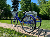 Трехколесный электровелосипед GreenCamel Трайк-24 V2 (R24 350W 48V12Ah), Синий