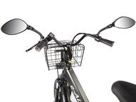Электровелосипед GREEN CITY e-ALFA Trike (серебристый)